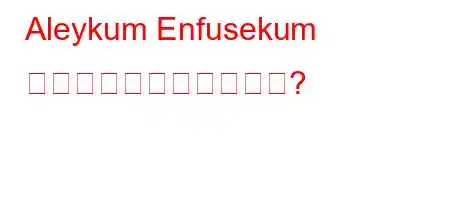 Aleykum Enfusekum とはどういう意味ですか?